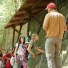 Children in front of the petrified tree of Laas - Carnic Alps Geopark