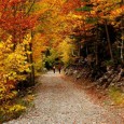 Autumn tints of colors and lights the Sobrarbe Geopark becoming an irresistible moment to walk through it and see all its natural, geological and cultural heritage with other eyes. The...